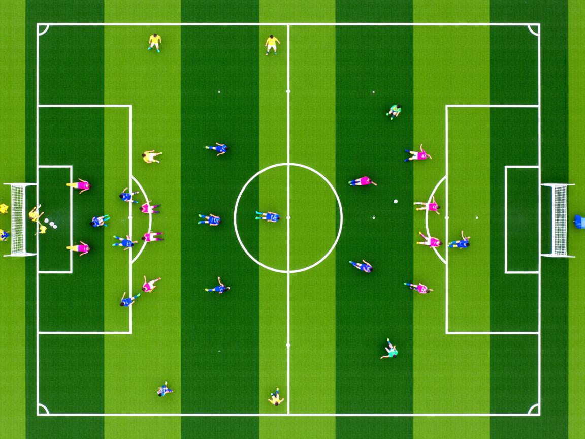 九游娱乐平台-体育医疗保障体系提升运动安全水平，体育医疗包括  第3张