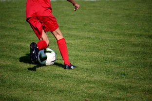 九游网页官网-内线球员在快节奏体系下的功能性演变，内线球员的主要作用